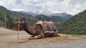 Marrakesch